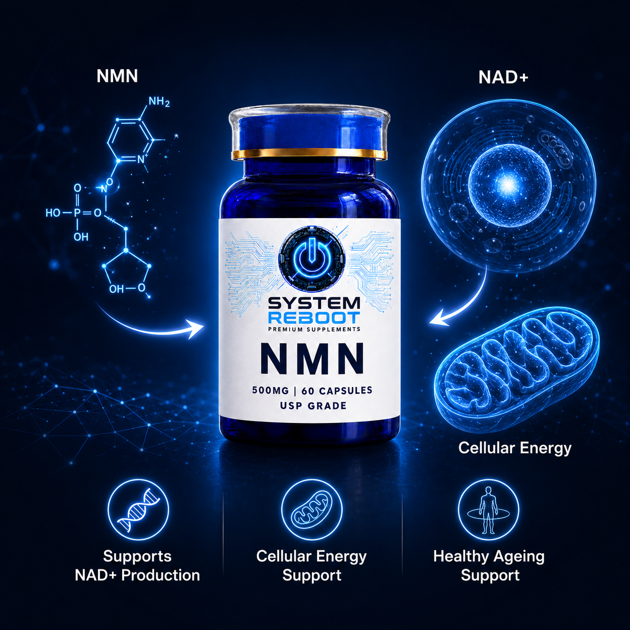 SR-NMN-nad-science-graphic